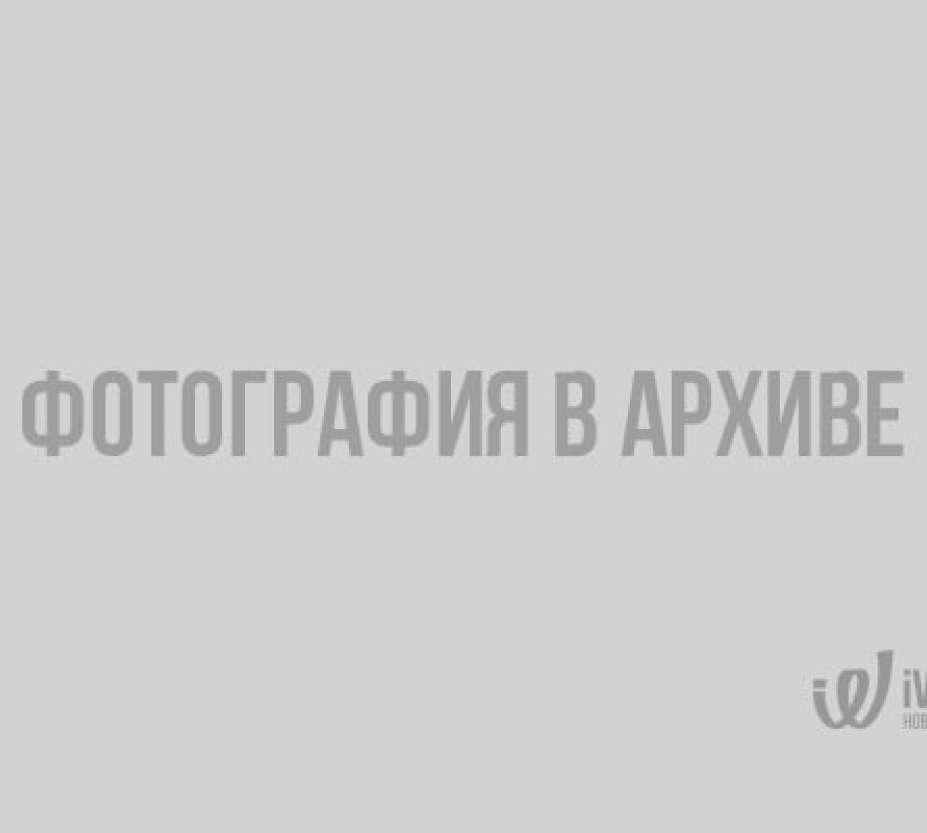 "Загрязнения вблизи реки Оккервиль полностью устранены" - Росприроднадзор