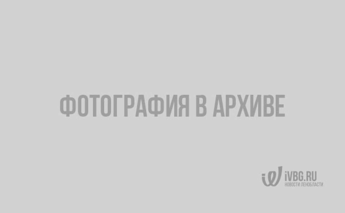 В Старой Ладоге обнаружили цинковый гроб с останками