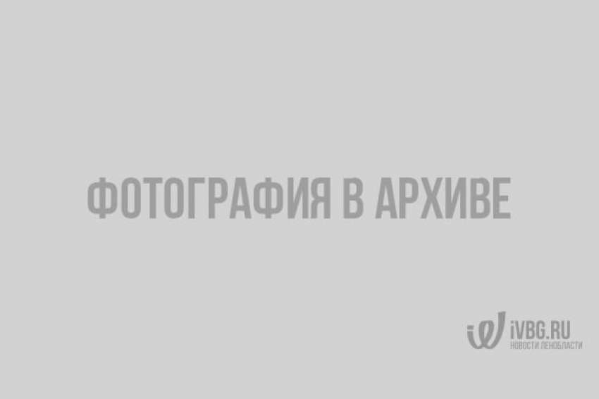 Школьникам запретят пользоваться гаджетами
