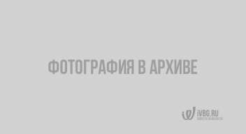 Инструкция: как не попасть под статью за репосты и лайки во "ВКонтакте"