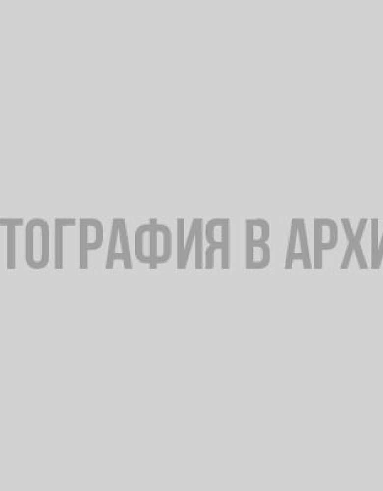 Визит Дрозденко в Мекленбург-Переднюю Померанию вызвал интерес к истории