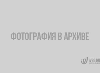 Дизайн дворов в поселке Елизаветино создали в игре Sims 2 - пользователи соцсетей негодуют