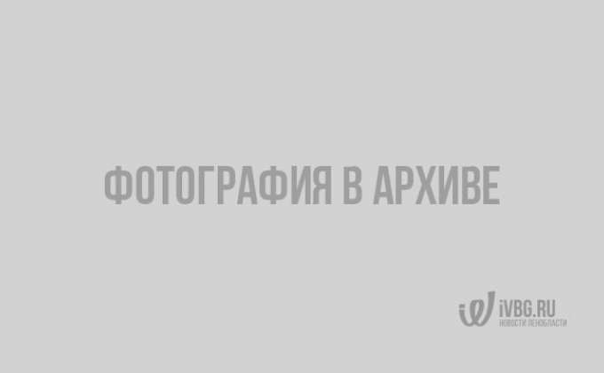 Медведев подписал постановление о повышении тарифов ЖКХ в 2019 году