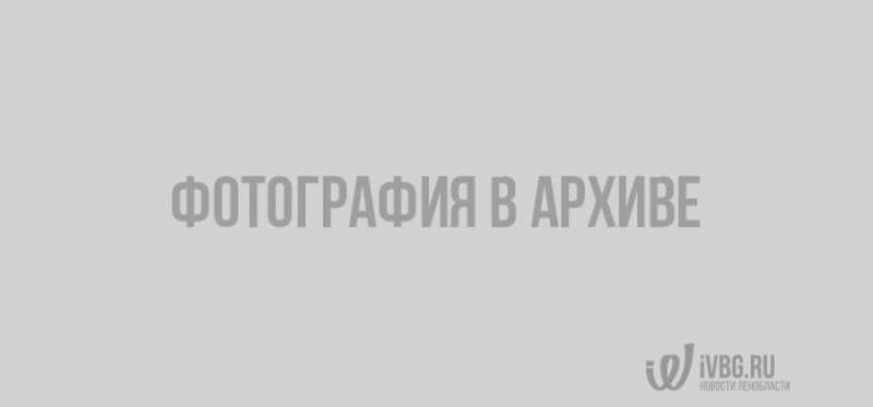 Петербургский школьник создал профсоюз учеников, после чего ему пригрозили отчислением и прокуратурой