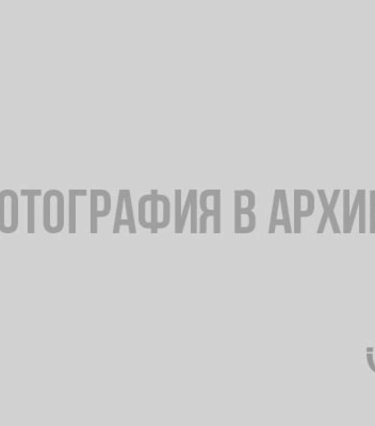 Какими домашними питомцами хвастались жители Ленобласти на прошлой неделе