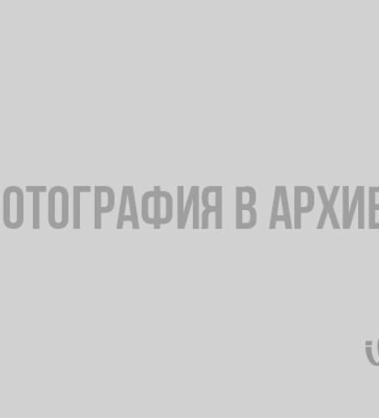 Какими домашними питомцами хвастались жители Ленобласти на прошлой неделе