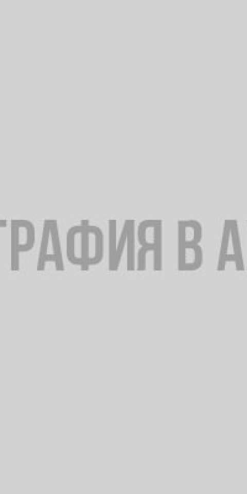 Мошенники пытались обмануть молодых мам в Выборге