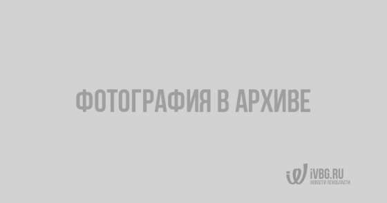 Рекламные щиты со святыми должны сократить количество ДТП в Санкт-Петербурге