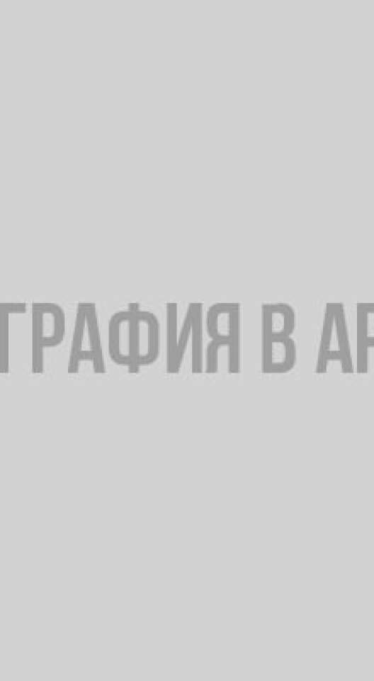 На Ибице есть больница для ежей - фото