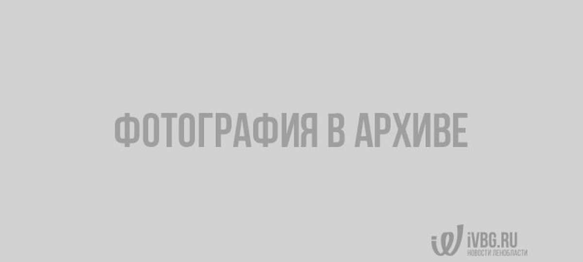 Федеральные дороги ограничат для грузового транспорта с 20 мая
