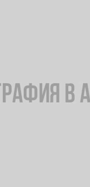 Шесть школьников из Бокситогорского района стали призерами областного этапа Всероссийской олимпиады