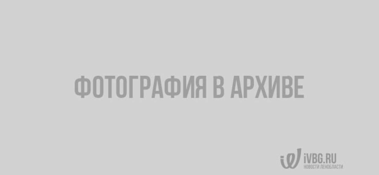 Сразу четыре автомобиля столкнулись в Ленобласти - фото