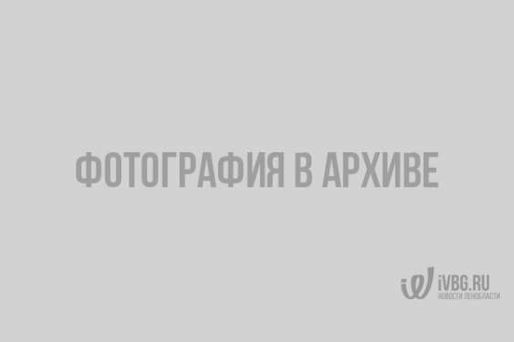 Теннисисты из Ленобласти представят Россию на юношеском первенстве Европы