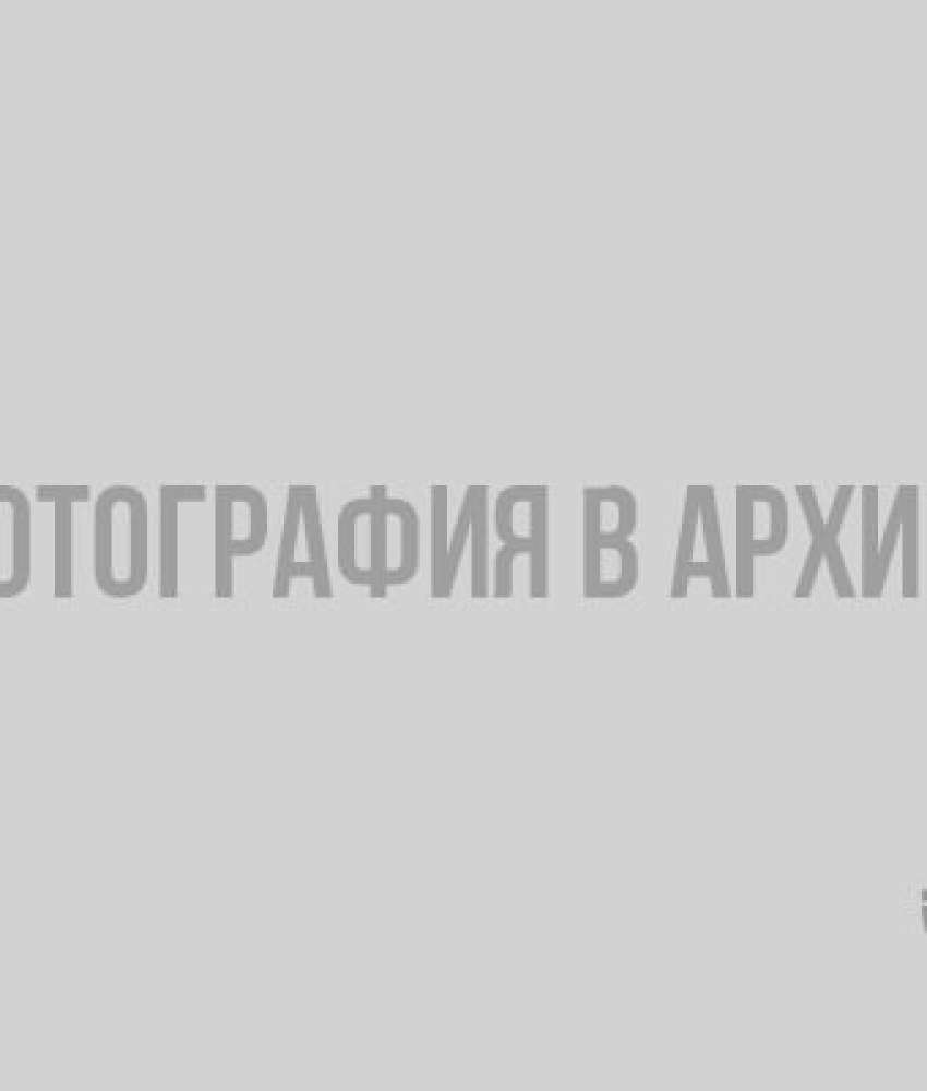 Во дворе Тосненского района “поселился” северный олень
