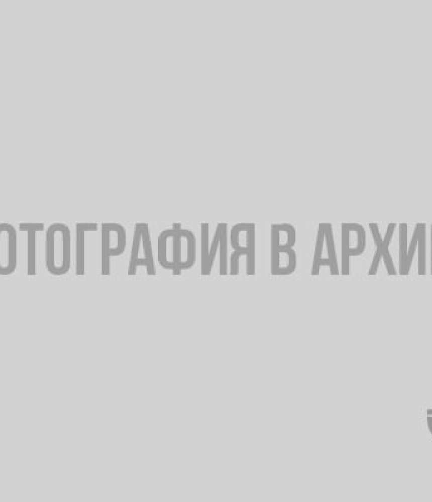 В Лодейном Поле замечен занесенный в Красную книгу орлан-белохвост - фото