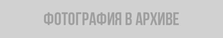 Виноват тот, кто помогает: акция дольщиков «Румболово-сити» столкнулась с непониманием цивилизованного общества