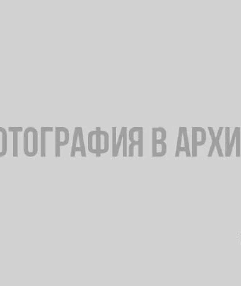 Ленинградцы делятся фотографиями проснувшихся в январе бабочек