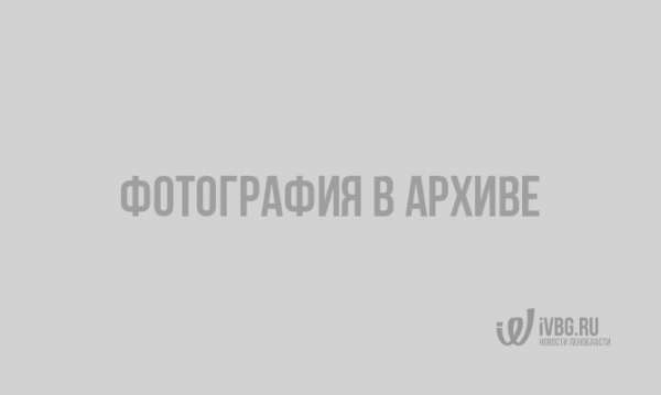 Легковушка сбила пешехода и сломала ему ногу в Петербурге