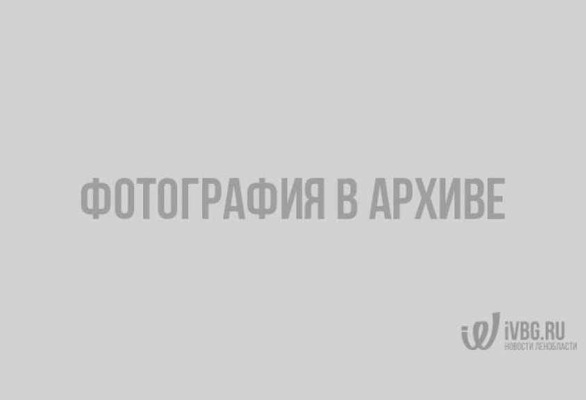 Михаил Боярский снова припарковался не по правилам в Петербурге