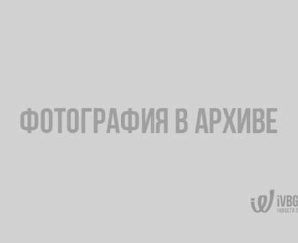 Instagram покоряют фейковые страницы губернатора и главы муниципалитетов