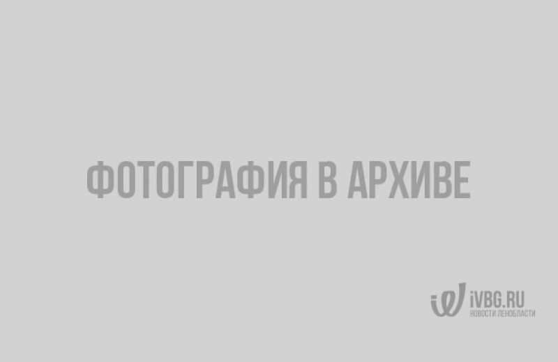 Грязная вода из кранов в Горбунках: как Фалалеевы не справились с проектом системы водоснабжения