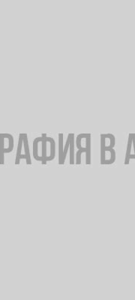 В Гатчине пьяный водитель каршеринга снес забор и упал в реку