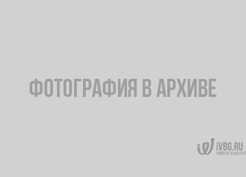 Зараженный коронавирусом сбежал из больницы в Петербурге