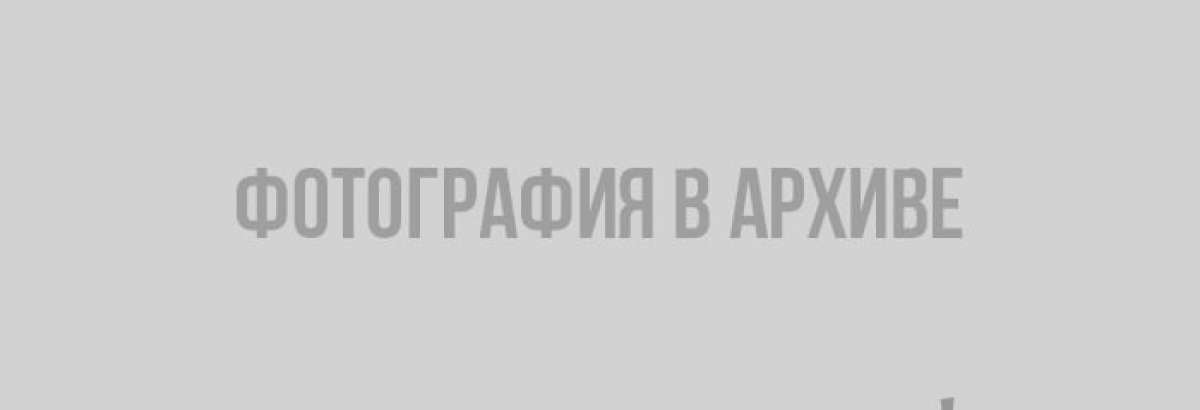 Жители Ленобласти оценили стихотворение Высоцкого в исполнении Александра Дрозденко