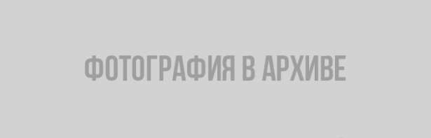 Четверть миллиона долларов стоит честь медиков из Ленобласти