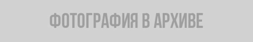 Четверть миллиона долларов стоит честь медиков из Ленобласти