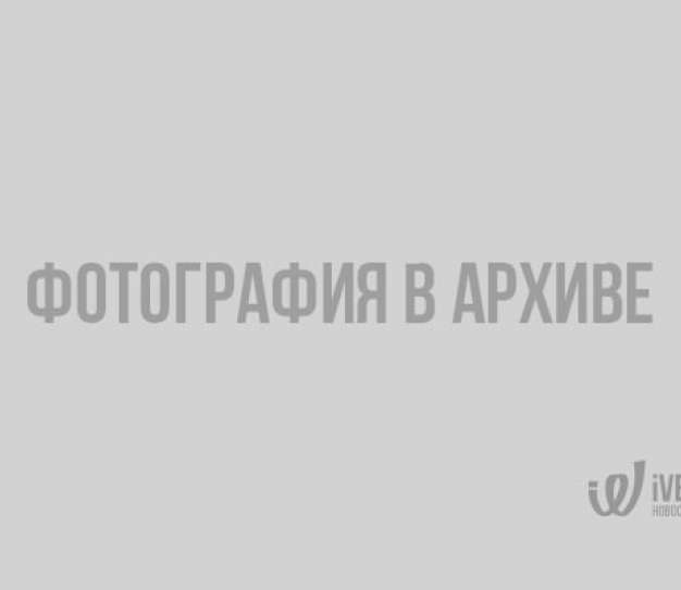 В Смольном игнорируют угрозу экологической катастрофы в связи с переносом «АБЗ №1» в Ольгино 