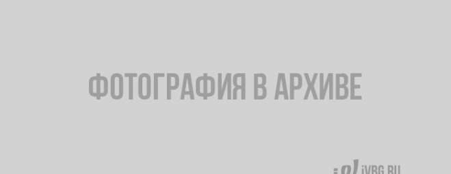 Четверть миллиона долларов стоит честь медиков из Ленобласти