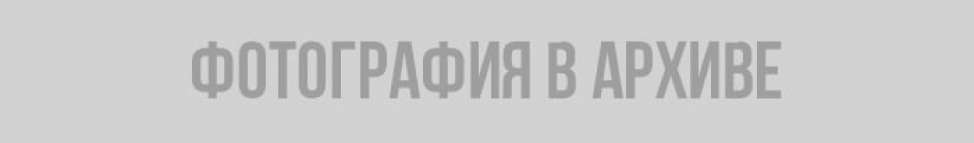 Четверть миллиона долларов стоит честь медиков из Ленобласти