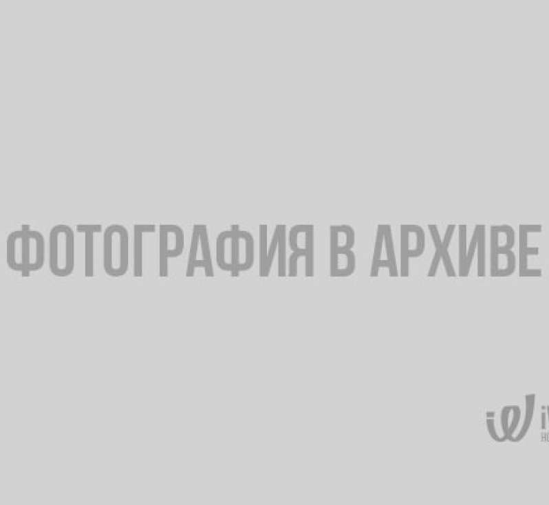 Четверть миллиона долларов стоит честь медиков из Ленобласти