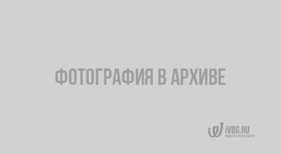 В Ленобласти официально разрешили посещение кладбищ