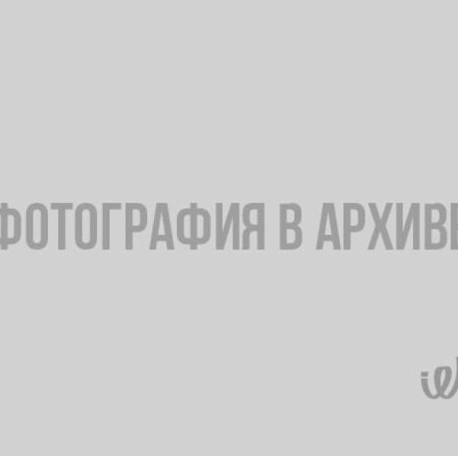 Фото: лесные обитатели Тихвинского района позируют перед фотоловушками