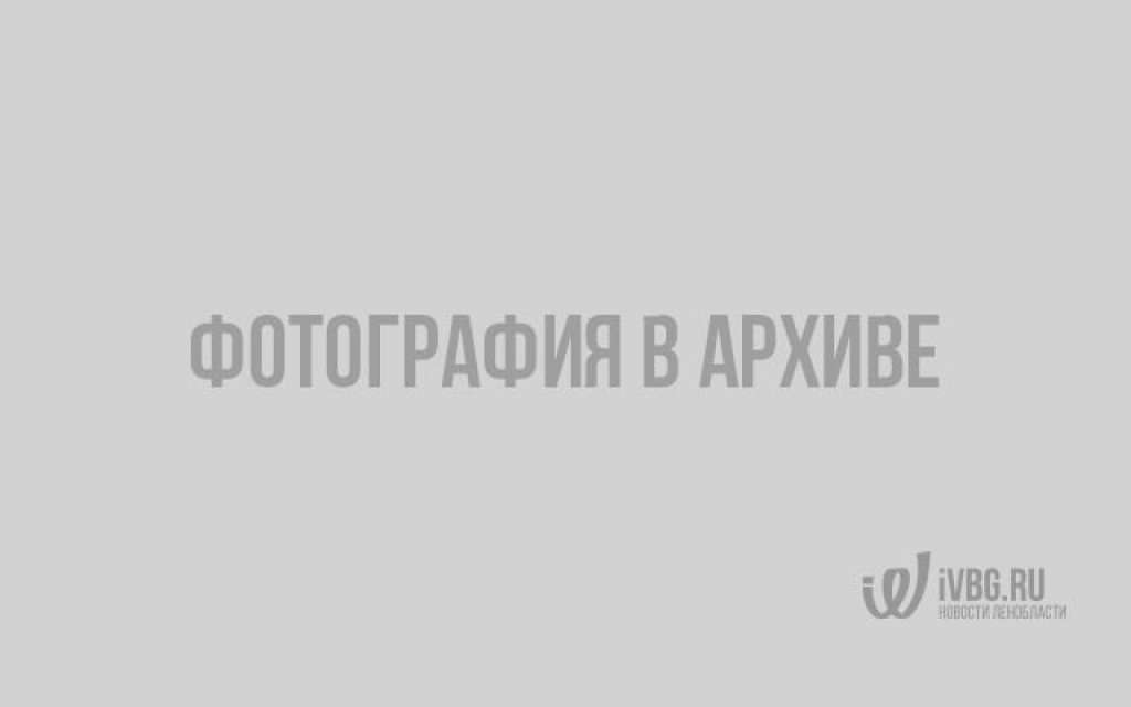 ФК "Зенит" обыграл "Химки" и завоевал Кубок России