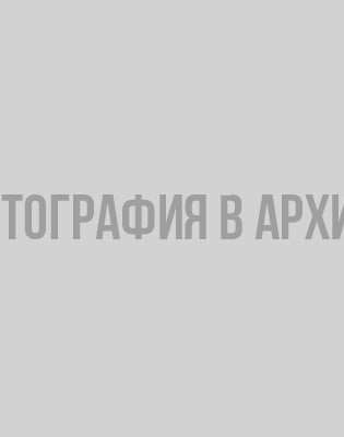 Зариф