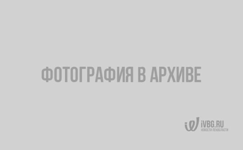 рейды 