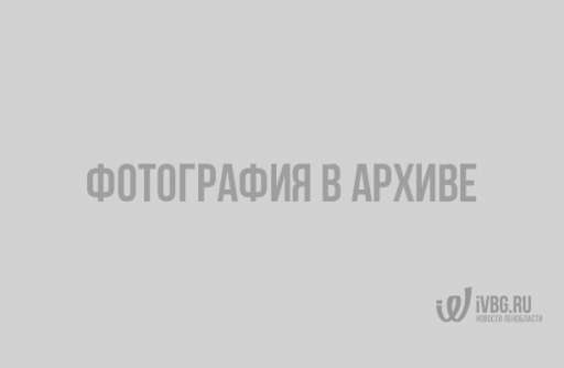Самолет в Пулково
