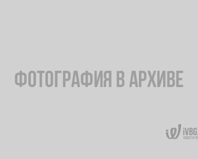 Погода в Ленобласти