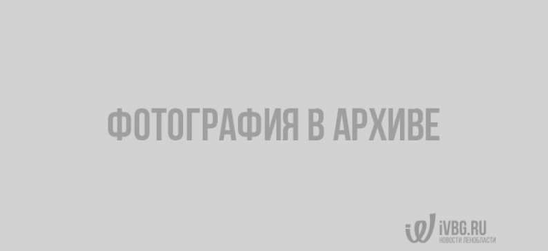 Оформление Города К Новому Году 2022 Оформление Города К Новому Году 2022