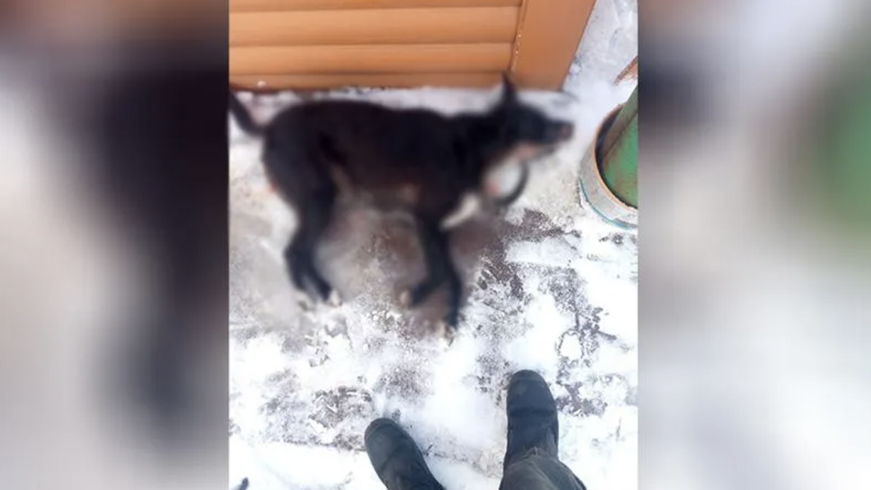 Снимок экрана 2022-01-18 в 11.31.21