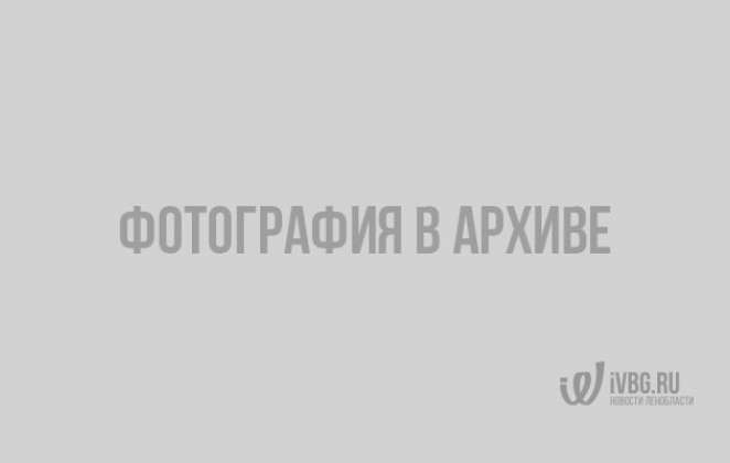 ap_1660225134_1660225264_1662044962_1662045391-662x420