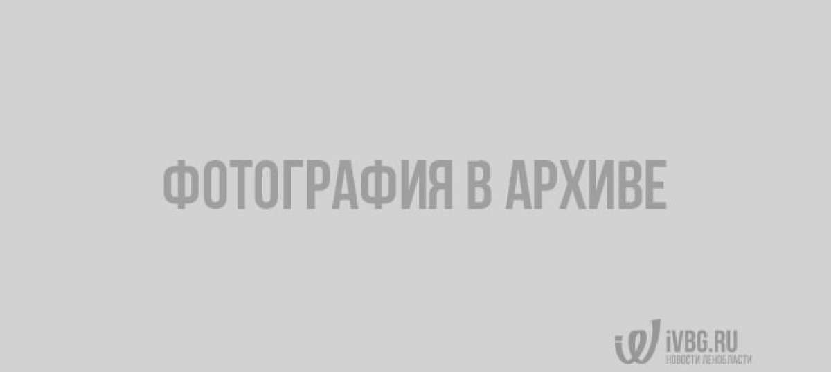 Гость из Кубы оставил в Пулково сигары на 721 тысячу рублей