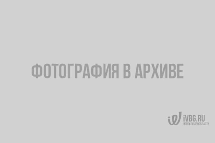 1d12870514e8ec1ba4a8cab686758f38