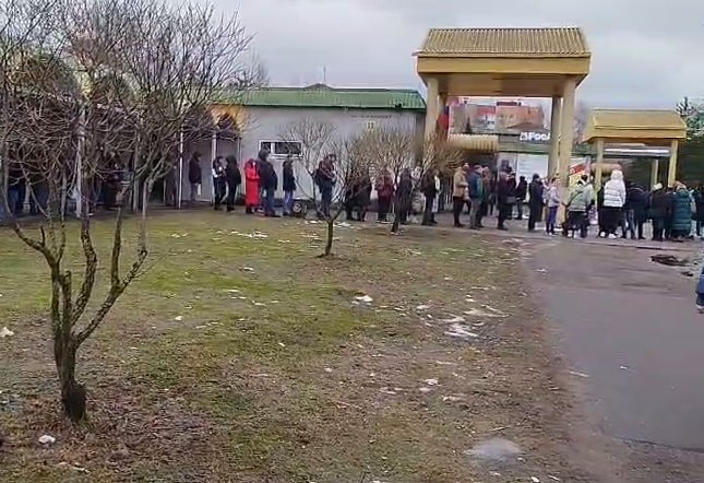 Огромная очередь выстроилась в гражданскую канцелярию Всеволожского горсуда утром 31 января - Очевидец сильно удивился количеству людей, желающих обратиться в инстанцию утром пятницы.