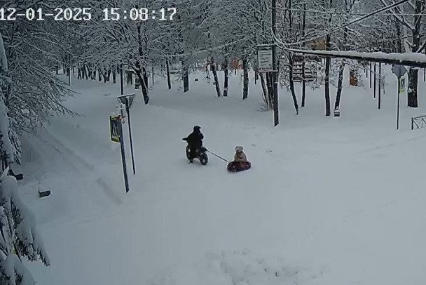 Полиция задержала байкера, катавшего девушку на ватрушке в Назии - Видео с опасным зимним развлечением попалось автоинспекторам в интернете.