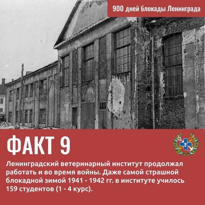 Вклад Госветслужбы в Победу: 9 удивительных фактов о ветеринарах и животных блокадного Ленинграда - Госветслужба Ленобласти опубликовала карточки с фактами о животных и специалистах ведомства, который