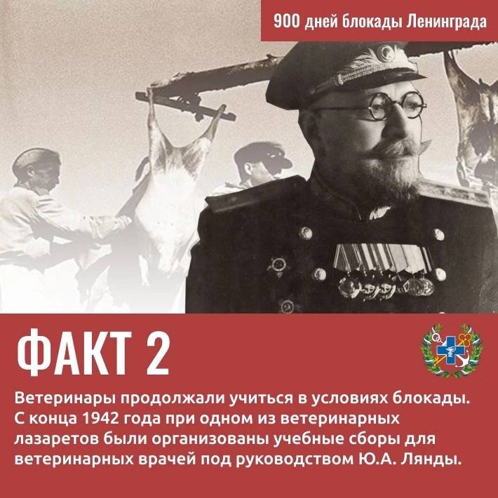 Вклад Госветслужбы в Победу: 9 удивительных фактов о ветеринарах и животных блокадного Ленинграда - Госветслужба Ленобласти опубликовала карточки с фактами о животных и специалистах ведомства, который